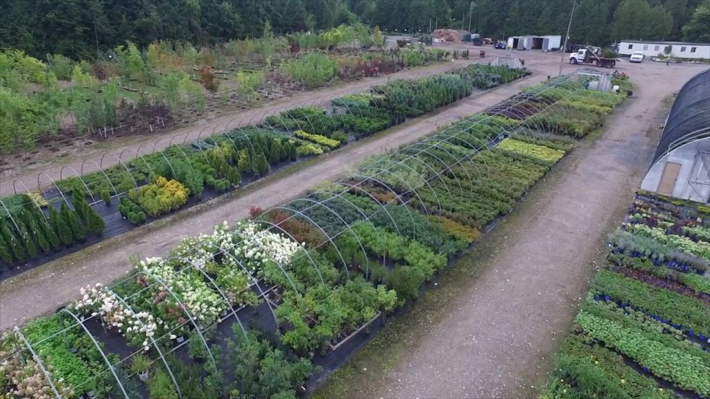 Greenlife Wholesale Nursery | 1770 Manotick Station Rd, Greely, ON K4P 1K4, Canada | Phone: (613) 692-3047