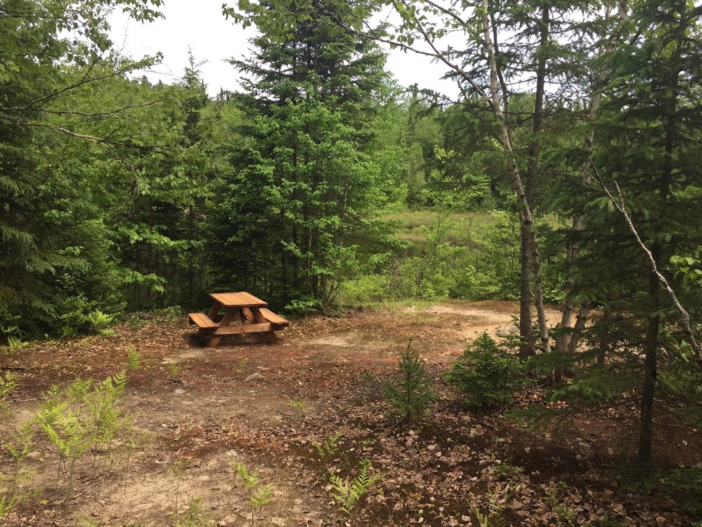 Gîte Les Arpents Verts | 1682 Ch. 3e Rang, Sainte-Lucie-des-Laurentides, QC J0T 2J0, Canada