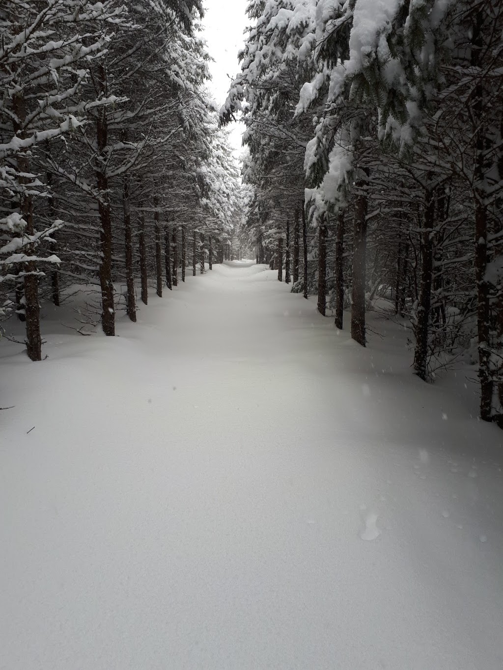 Le Domaine Graham Les Bouleaux Blancs | 1891, 1995 Chemin du Ruisseau 1961 et, Namur, QC J0V 1N0, Canada | Phone: (819) 426-3283