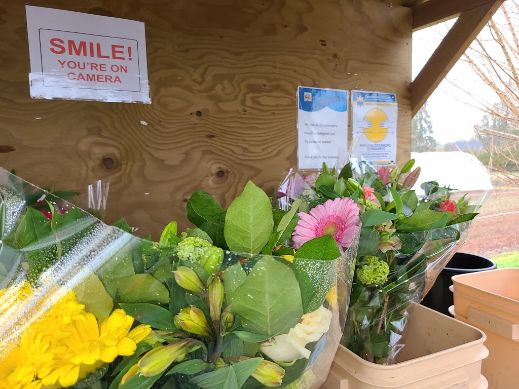 Smit Nursery Ltd. | 28490 58 Ave, Abbotsford, BC V4X 2E8, Canada | Phone: (604) 856-2456