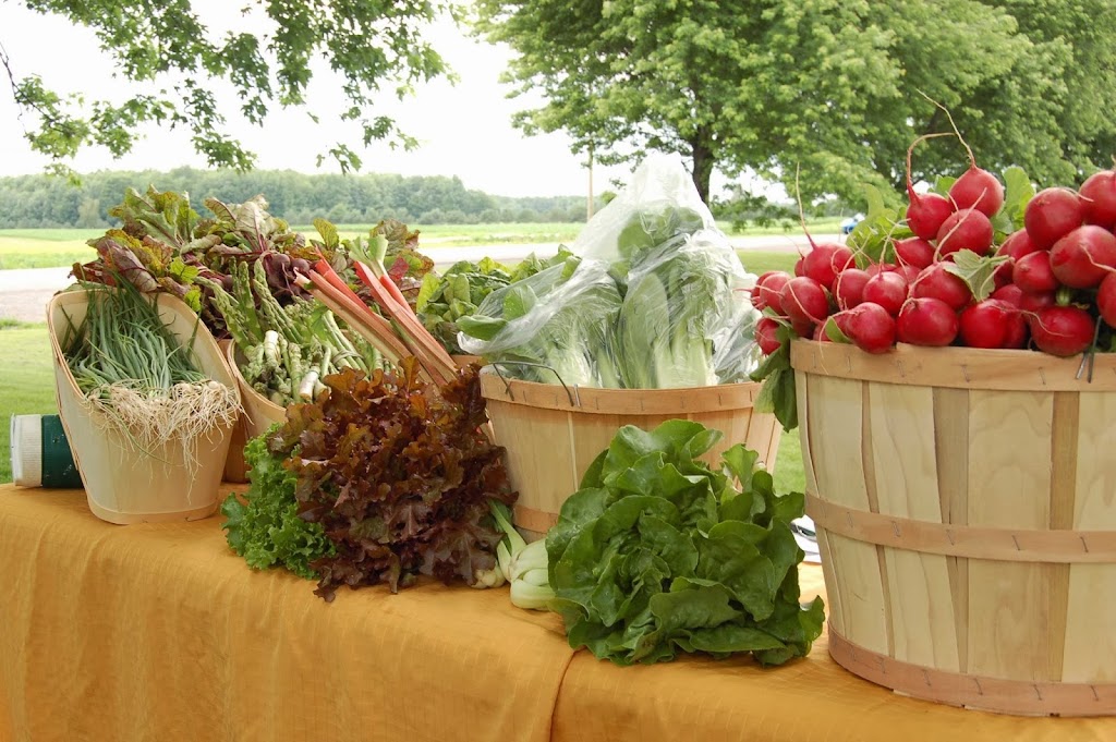 Jardin chez Julie et Lova | 75 QC-201, Coteau-du-Lac, QC J0P 1B0, Canada | Phone: (450) 802-8005