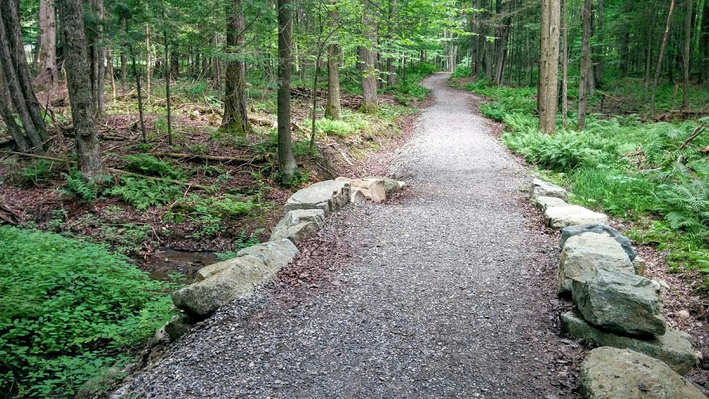 Parc Gouin | 810 Montée du Parc, Richmond, QC J0B 2H0, Canada