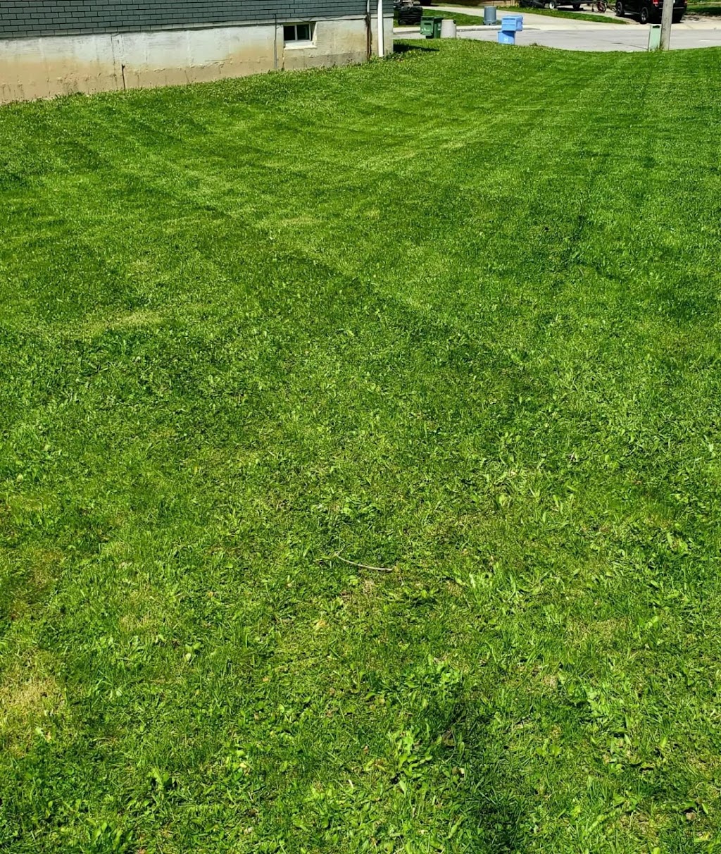 Angelo landscaping | 181 John St N #1210, Hamilton, ON L8L 7Z7, Canada | Phone: (905) 519-4947