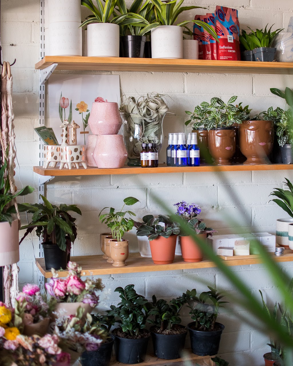 Studio Foliage | 49a Ave Donegani, Pointe-Claire, QC H9R 2V8, Canada | Phone: (514) 694-4620