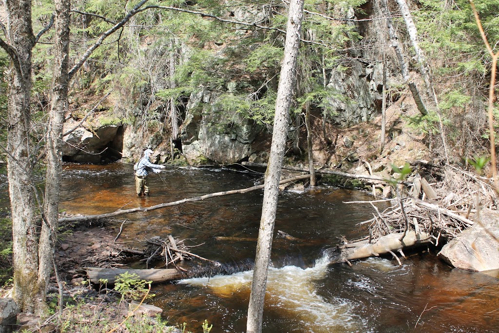 Algonquin Fly Fishing Premium Guide Service | 1746 Forest Lea Rd, Pembroke, ON K8A 6W6, Canada | Phone: (613) 281-4729