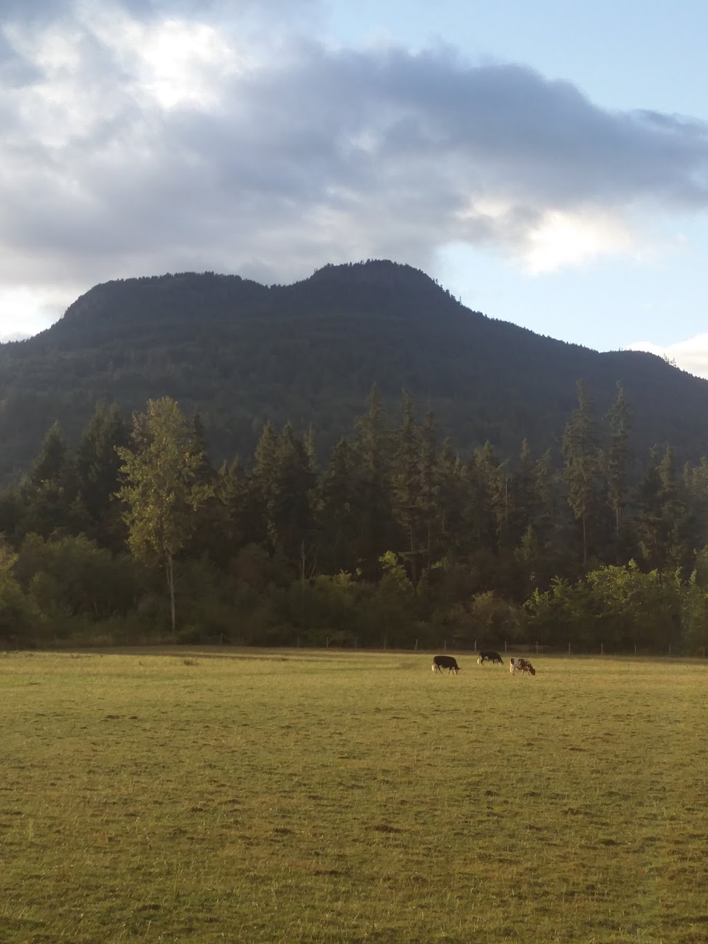 Duncan Meadows Golf Course | 6507 N Rd, Duncan, BC V9L 6K9, Canada | Phone: (250) 746-8993