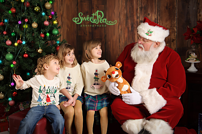 Sweet Pea Photography | 2609 Fenton Rd Unit 213, Gloucester, ON K1T 3T8, Canada | Phone: (613) 322-2223