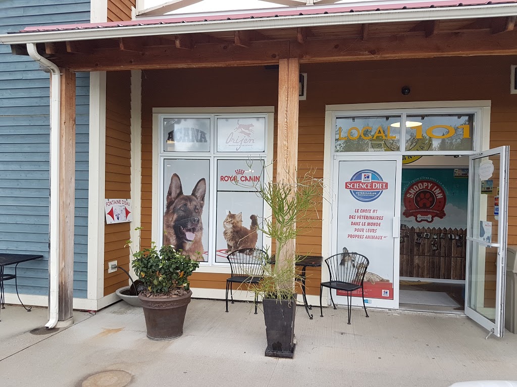 Animalerie Règne Animal Inc. | 35 Rue John-Savage #101, Bromont, QC J2L 0A5, Canada | Phone: (450) 534-9933