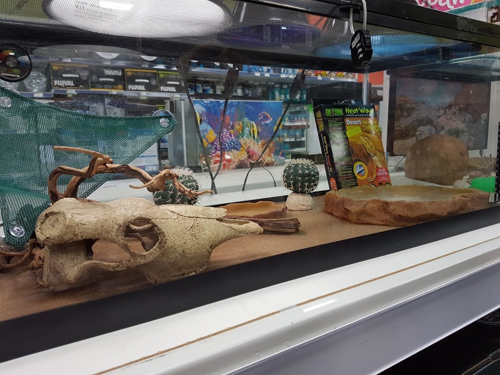 Petland Red Deer | 5250 22 St, Red Deer, AB T4R 2T4, Canada | Phone: (403) 309-4800