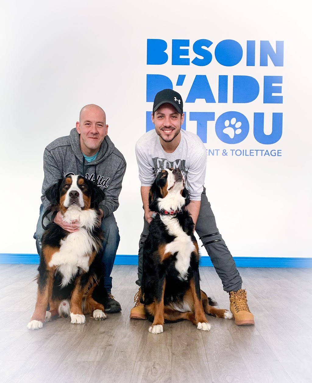 Besoin daide pitou | 683 Rue Hauterive, Laval, QC H7G 4L8, Canada | Phone: (450) 668-9000