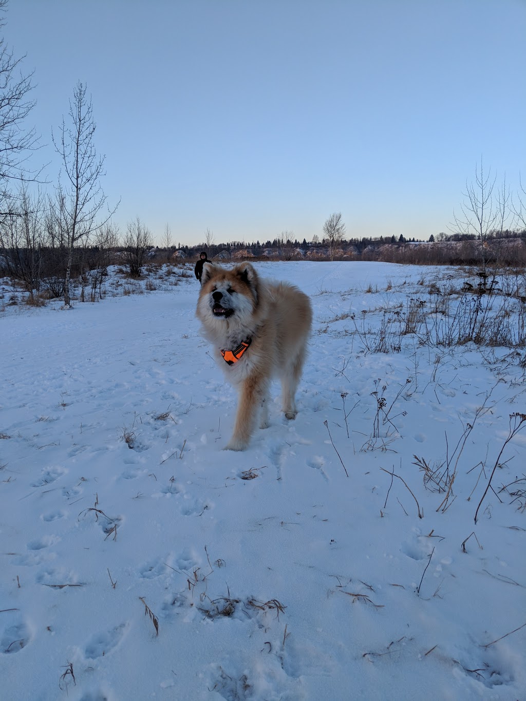 Terwillegar Park | 10 Rabbit Hill Rd NW, Edmonton, AB T6R 0R7, Canada | Phone: (780) 442-5311