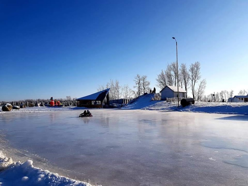 R FAMILY CHRISTMAS TREE FARM | 38551, Range Rd 21, AB T4E 2M7, Canada | Phone: (403) 887-5604