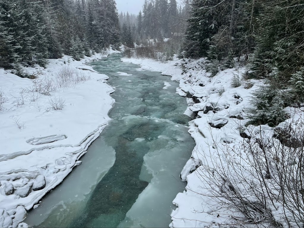 Best Whistler Rentals | 4510 Blackcomb Way, Whistler, BC V0N 1B4, Canada | Phone: (604) 907-4949