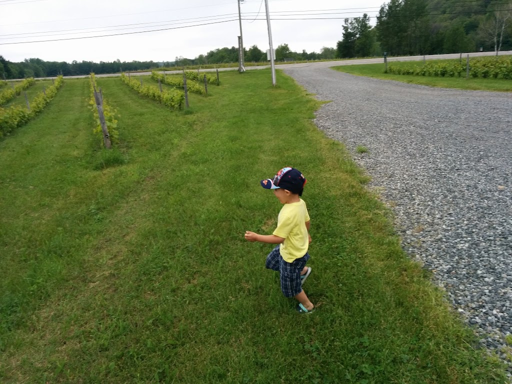 DOMAINE DU MONT-VÉZEAU | 365 QC-321, Ripon, QC J0V 1V0, Canada | Phone: (819) 428-2291