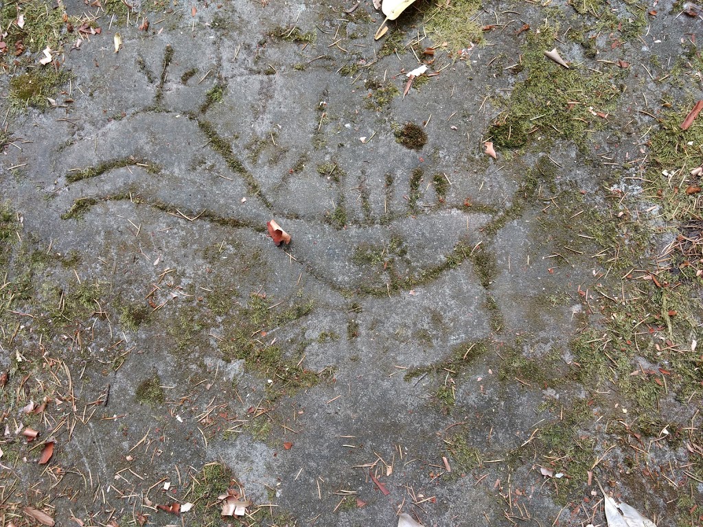 Petroglyph Provincial Park | 990-960, Trans-Canada Hwy, Nanaimo, BC V9R 6K5, Canada | Phone: (250) 474-1336