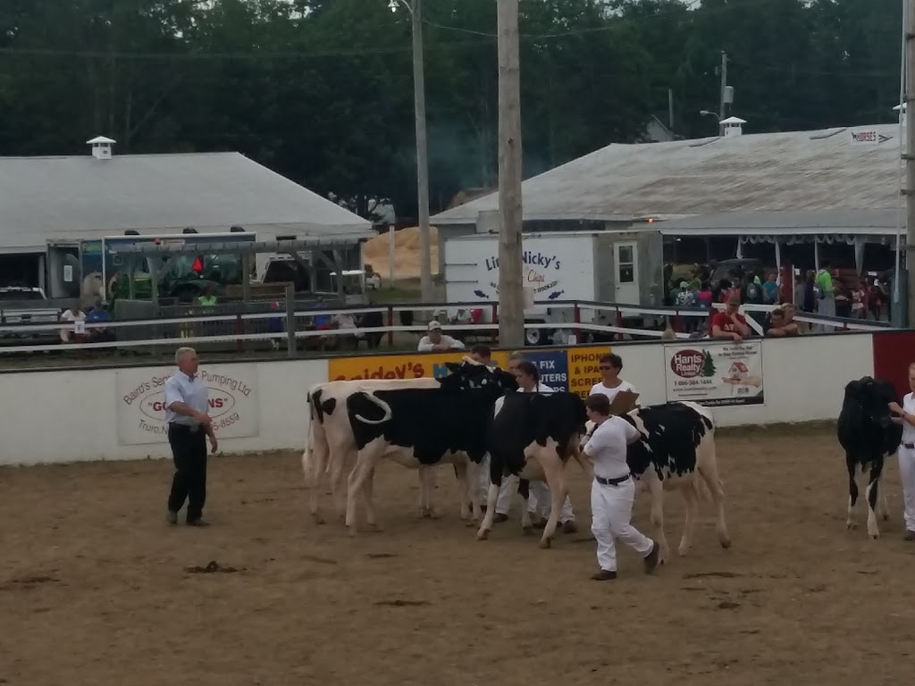 Halifax Co Exhibition | 190 Exhibition Grounds Rd, Middle Musquodoboit, NS B0N 1X0, Canada | Phone: (902) 384-2894