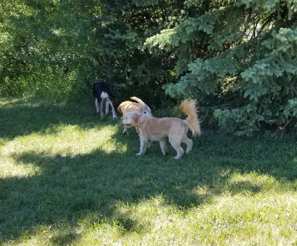 Off leash Park | Braeside, Calgary, AB T2W 1R9, Canada