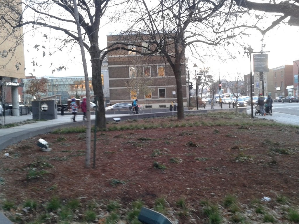 Place Raymond-Plante | La Petite-Patrie, Montreal, QC H2S 0A7, Canada