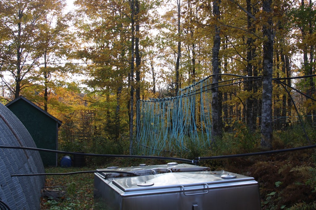 Maple Mist Farm | 1927 Kemptown Rd, Kemptown, NS B6L 2J2, Canada | Phone: (902) 657-3711