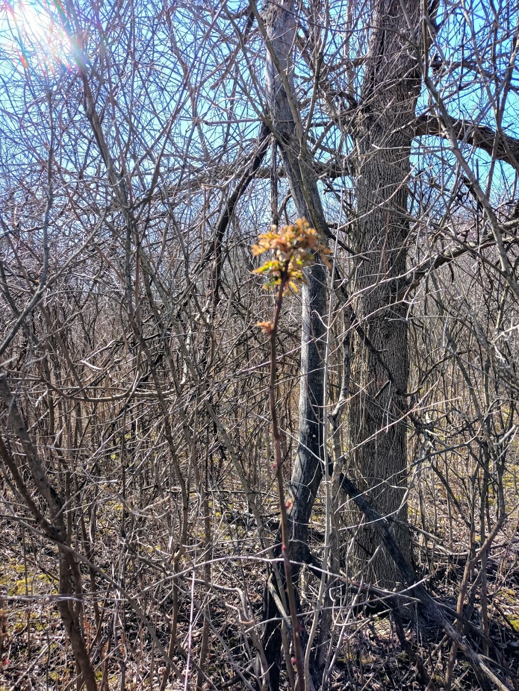 Fort Erie Conservation Club Inc | 2555 Ott Rd, Stevensville, ON L0S 1S0, Canada | Phone: (905) 382-2260