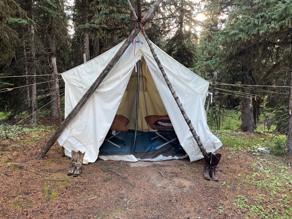 Timberline Tours Ltd | 101 St Piran Rd, Lake Louise, AB T0L 1E0, Canada | Phone: (403) 522-3743