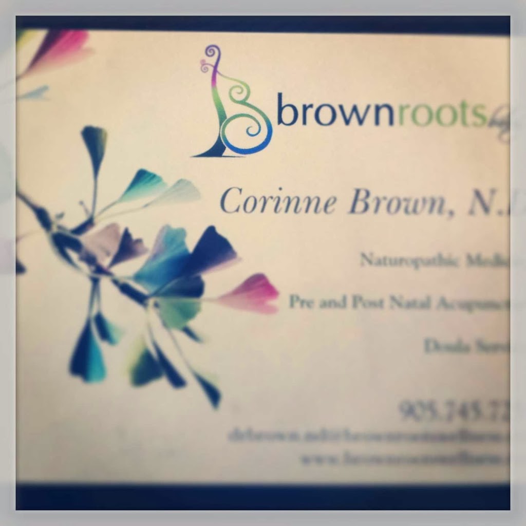 Brownroots Baby | 64 Wardrope Ave, Stoney Creek, ON L8G 1S4, Canada | Phone: (905) 745-7259