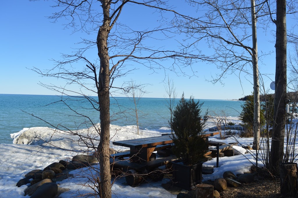Serenity Cottage | Eagle Ridge Dr, Annan, ON N0H 1B0, Canada | Phone: (226) 256-8057