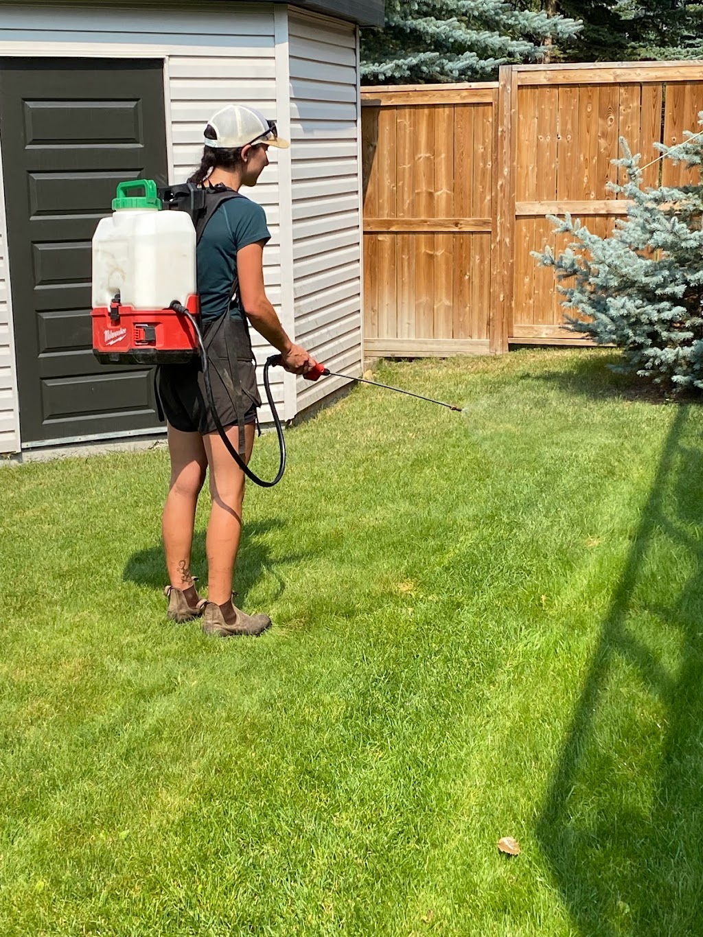 Mr.Floods Lawn & Garden | 23 Citadel Pass Cres NW, Calgary, AB T3G 3V1, Canada | Phone: (403) 629-8424