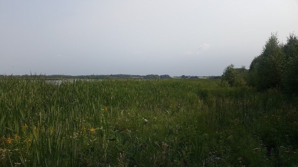 Hasse Lake Regional Park | Hasse Rd, Carvel, AB T0E 0H0, Canada
