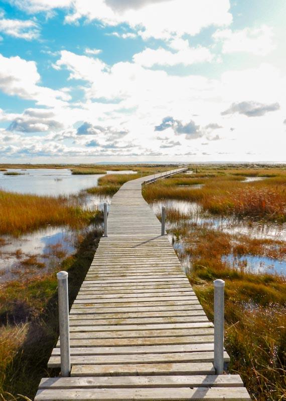 Century Farm Waterfront Cottages | 1178 Point Prim Rd, Belfast, PE C0A 1A0, Canada | Phone: (902) 659-2412