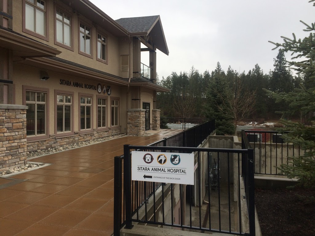 Sitara Animal Hospital | 2611 Stillwater Way #101, Lake Country, BC V4V 2R3, Canada | Phone: (778) 480-6274