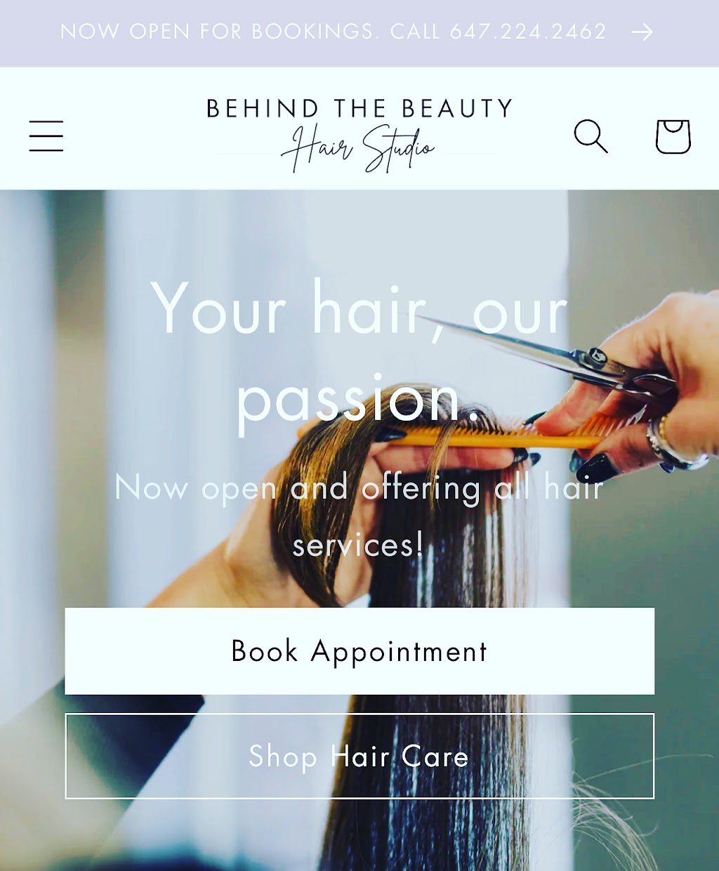 Behind The Beauty Hair Studio | 3 Felcher Blvd Unit 2, Whitchurch-Stouffville, ON L4A 3H4, Canada | Phone: (647) 224-2462