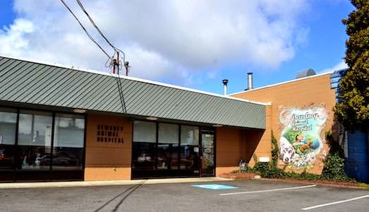 Dewdney Animal Hospital | 11965 228 St, Maple Ridge, BC V2X 6M1, Canada | Phone: (604) 467-1161