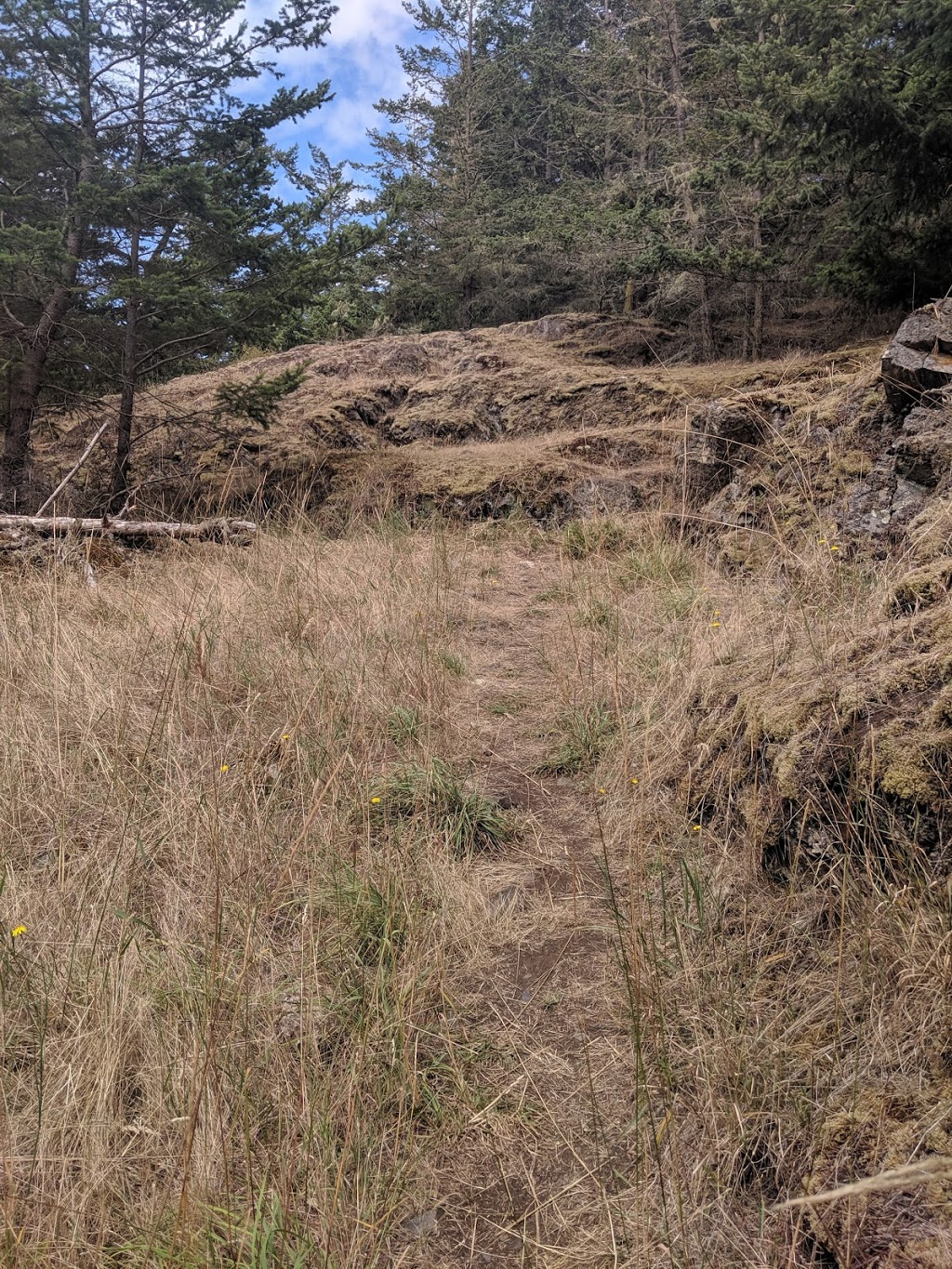 Watmough Bay, Chadwick Hill & Point Colville | 165 Chadwick Rd, Lopez Island, WA 98261, USA