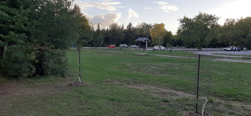 Balsam Lake Provincial Park Beach | Kawartha Lakes, ON K0M 1K0, Canada | Phone: (705) 454-3324