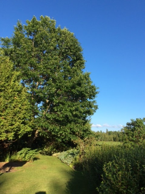 La maison Pamaljolie | 14000 Chem. de Fairfax, Stanstead-Est, QC J0B 3E0, Canada | Phone: (819) 571-0827