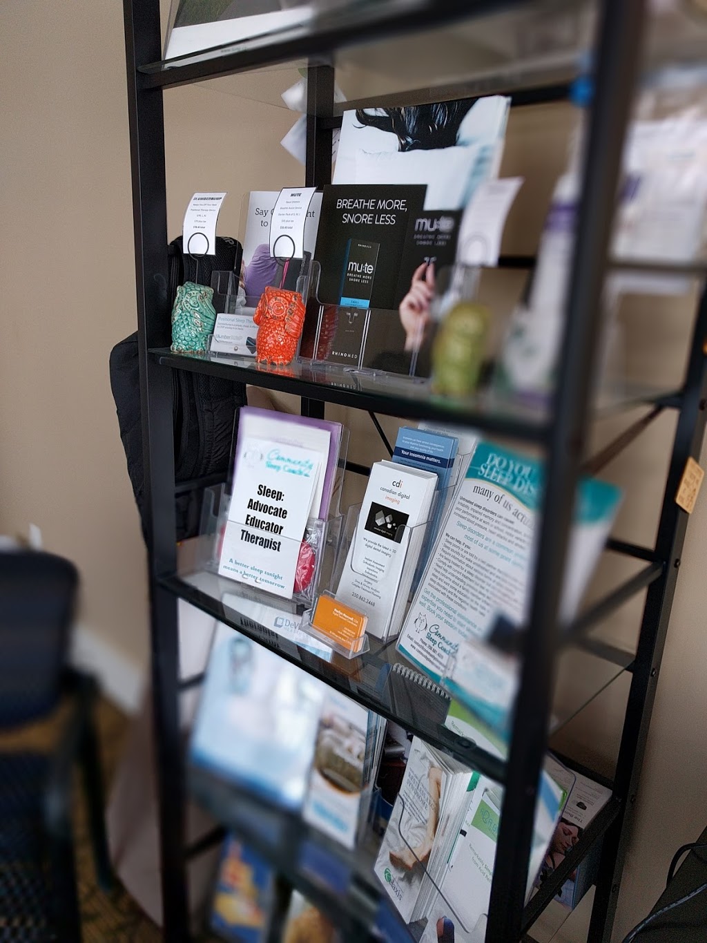 COMMUNITY SLEEP COACH INC. | 773 Glenmore Rd #610, Kelowna, BC V1V 3B9, Canada | Phone: (250) 681-4326