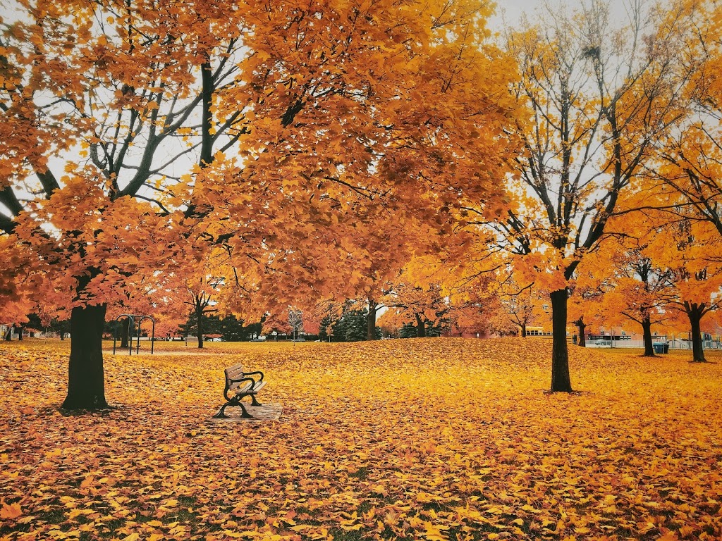 Parkway Forest Park | 80 Parkway Forest Dr, Toronto, ON M2J, Canada | Phone: (416) 338-4386