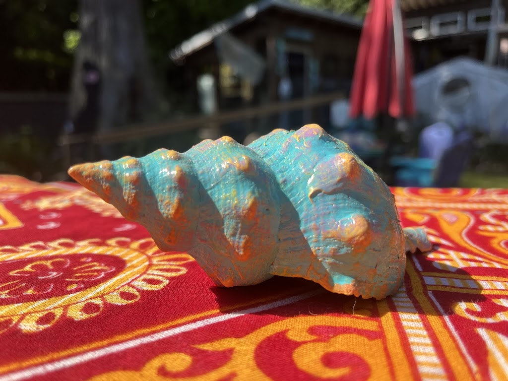 Savary Island Fair Trade | 2807 Brians Way, Savary Island, BC V0N 2G0, Canada | Phone: (604) 223-6287