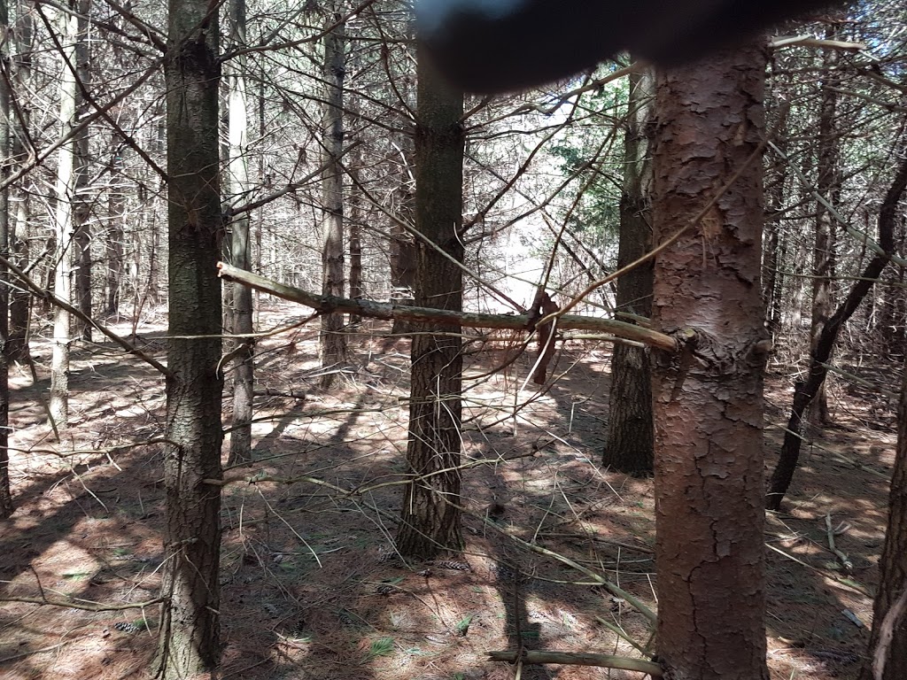 Guelph Off Road Bicycling Association | 797 Victoria Rd N, Guelph, ON N1L 1B3, Canada