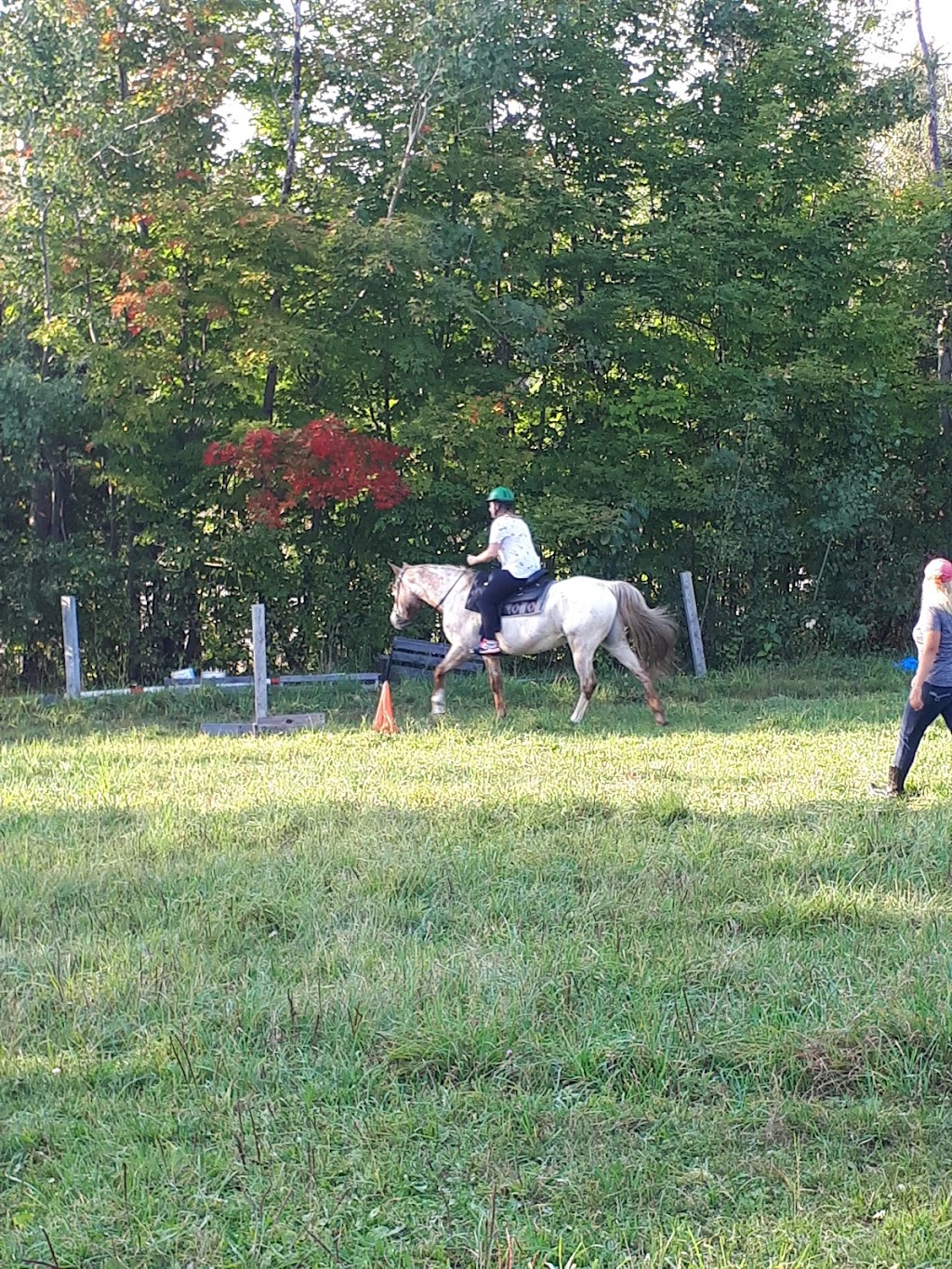 Hill Rise Farm | 139 Hastings County Rd 62, Combermere, ON K0J 1L0, Canada | Phone: (613) 334-5262