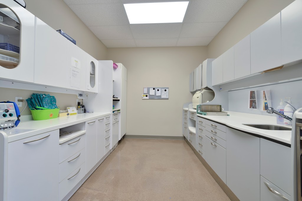 Smile Town | 5 Meadowcreek Ln, Cambridge, ON N3H 4R8, Canada | Phone: (519) 749-9981