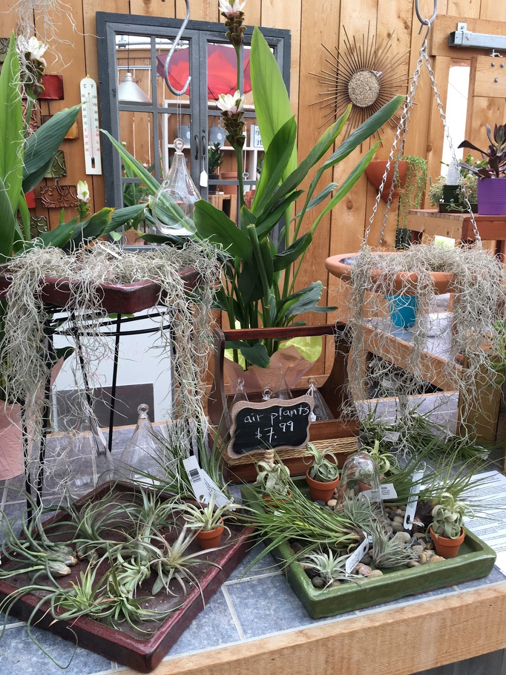 Patio Gardens | 6536 W Saanich Rd, Saanichton, BC V8M 1W8, Canada | Phone: (250) 652-8338