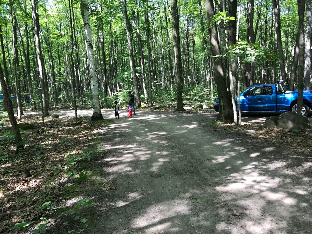 Bear Campground | Tiny, ON L9M 1R2, Canada | Phone: (705) 549-2231