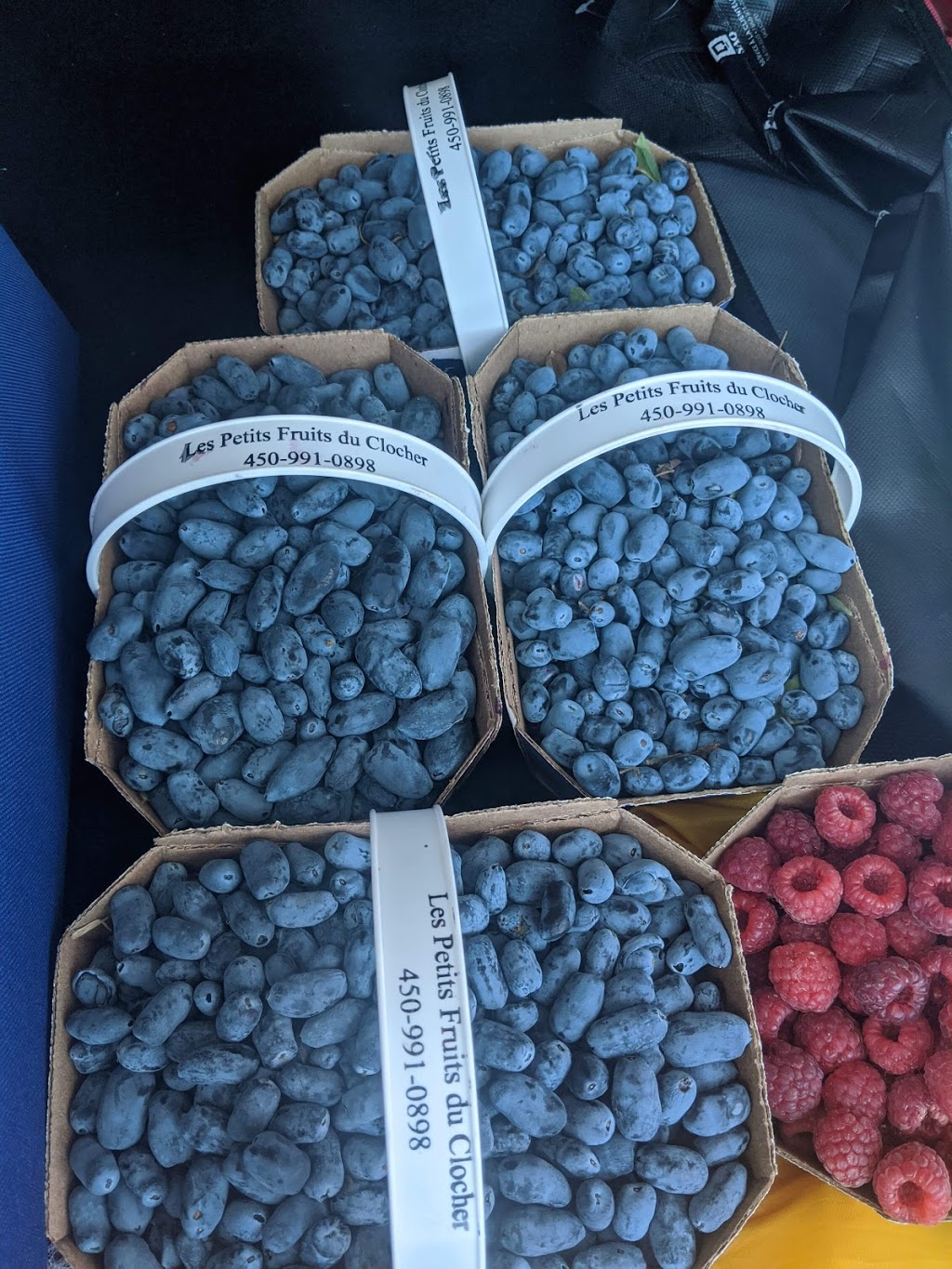 Les Petits fruits du Clocher | 307 Rue Principale, Sainte-Cécile-de-Milton, QC J0E 2C0, Canada | Phone: (450) 991-0898