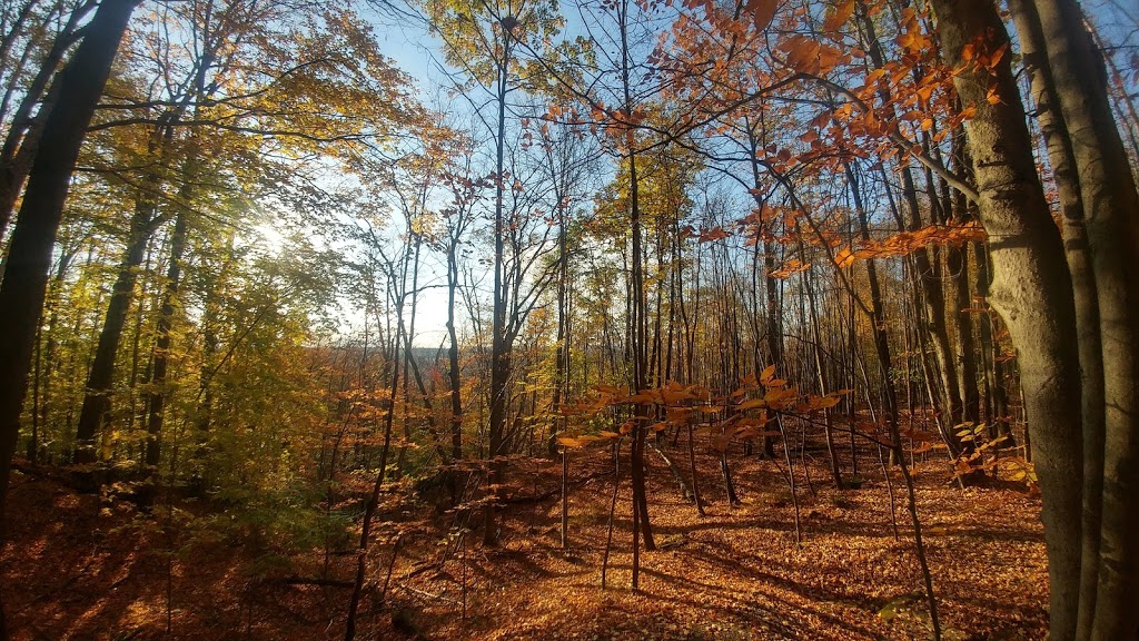 Scowen Park | 3127 Ch. Capelton, North Hatley, QC J0B, Canada