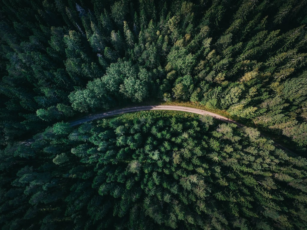 Forest Wellness - Kelsi Johnson, RMT | 37989 Helm Wy, Squamish, BC V8B 2A1, Canada | Phone: (604) 849-4877