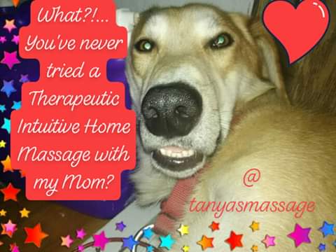 Tanya Marcy CMT, ADS, ADN, Reiki Master | 190 S Brook Rd, Montgomery Center, VT 05471, USA | Phone: (802) 326-4424
