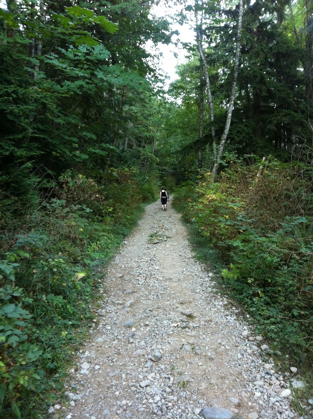 Upper Harrison Trail | Unnamed Road, Lions Bay, BC V0N, Canada