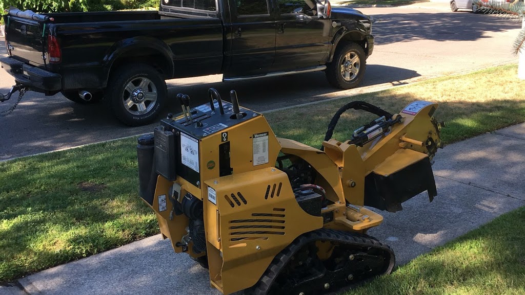 Styles contracting services | 37 Summerhill Rd, Holland Landing, ON L9N 1C6, Canada | Phone: (905) 251-8254